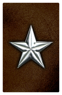 DF35T 430 SL BR Star Silver Brown